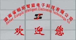 湖南省相炬智能電子科技 引領計算機技術創新與產業應用
